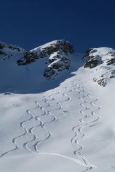 Wedelspuren in den Kitzbüheler Alpen - Schafsiedel